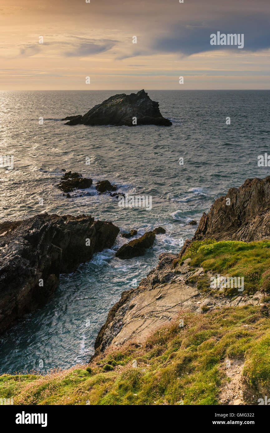 L'oca, una piccola isola rocciosa al largo della costa Est Pentire in operazioni automatiche di fine campo, Newquay Cornwall. Foto Stock