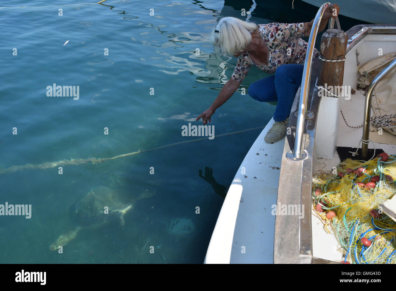 Donna di punti di una caretta-caretta caretta tartaruga di mare alimentare al di sotto delle barche da pesca a Limni Keri beach a Zante. Foto Stock