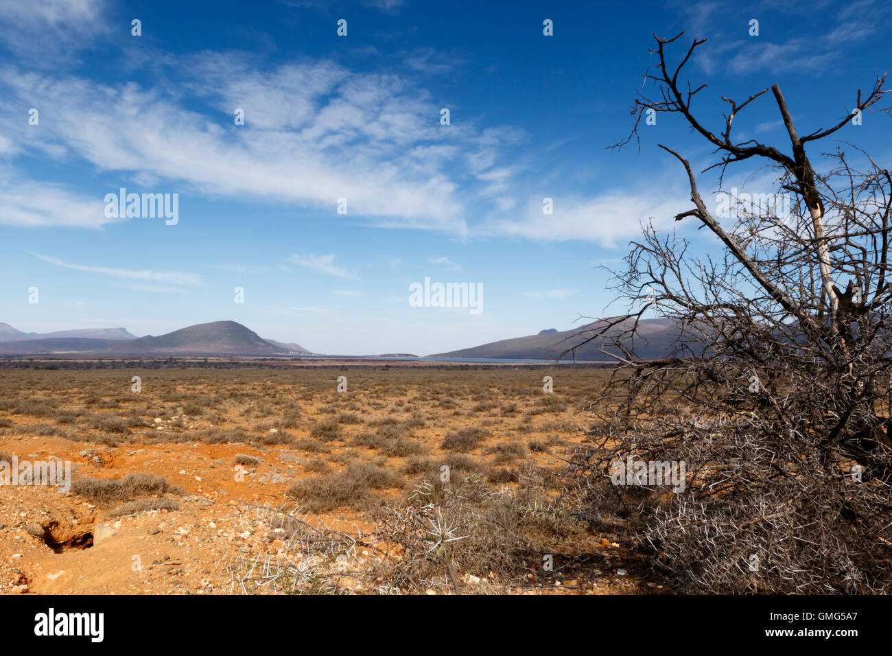 Terra asciutta - Paesaggio Graaff-Reinet Foto Stock