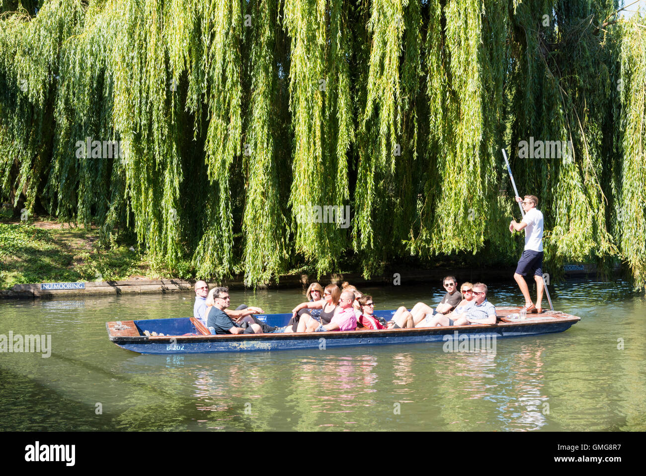 Persone punting sul fiume Cam sul dorso a Cambridge Regno Unito in estate Foto Stock