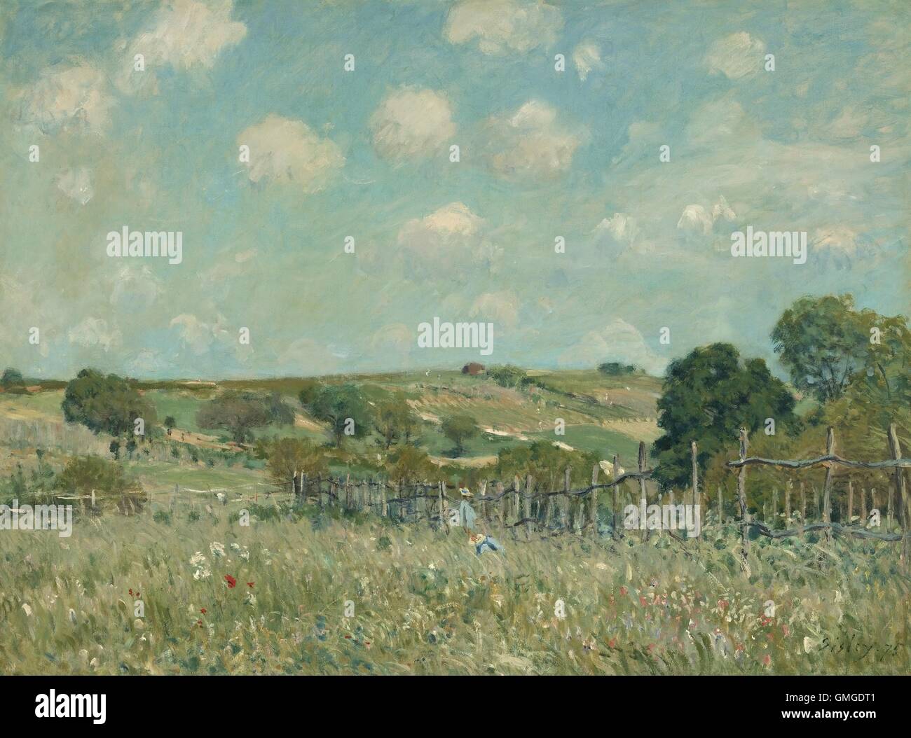 Prato, da Alfred Sisley 1875, impressionista francese pittura, olio su tela. Sisley è nato a Parigi da genitori Inglesi, e rimase in Francia per la maggior parte della sua vita. Egli è stato il più coerente aderente del "en plein air" Metodo di pittura paesaggi (BSLOC 2016 5 195) Foto Stock