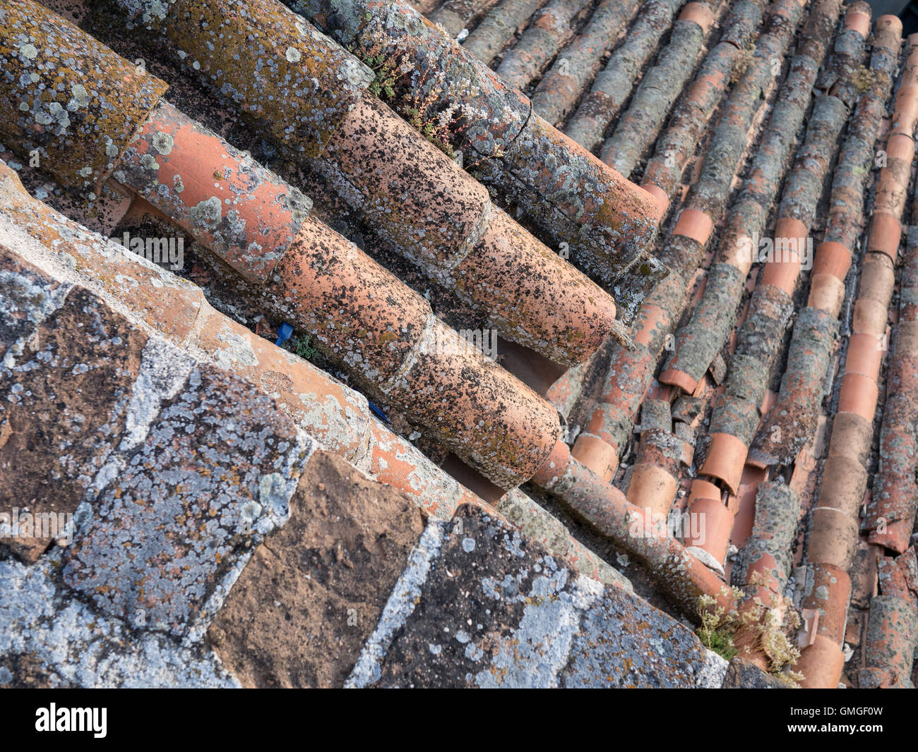 Piastrelle di terracotta su un tetto di spagnolo Foto Stock