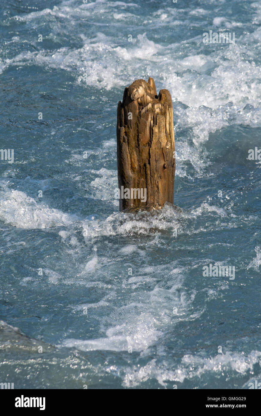 La rottura di un palo di legno si erge contro il potere di acqua bianca. Foto Stock