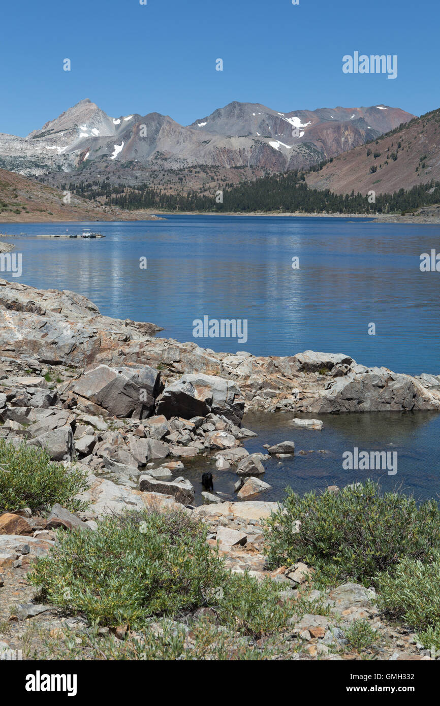 Lago di borsette nella Eastern Sierra Nevada contiene Rainbow Brown Brooke e trota dorata . Foto Stock