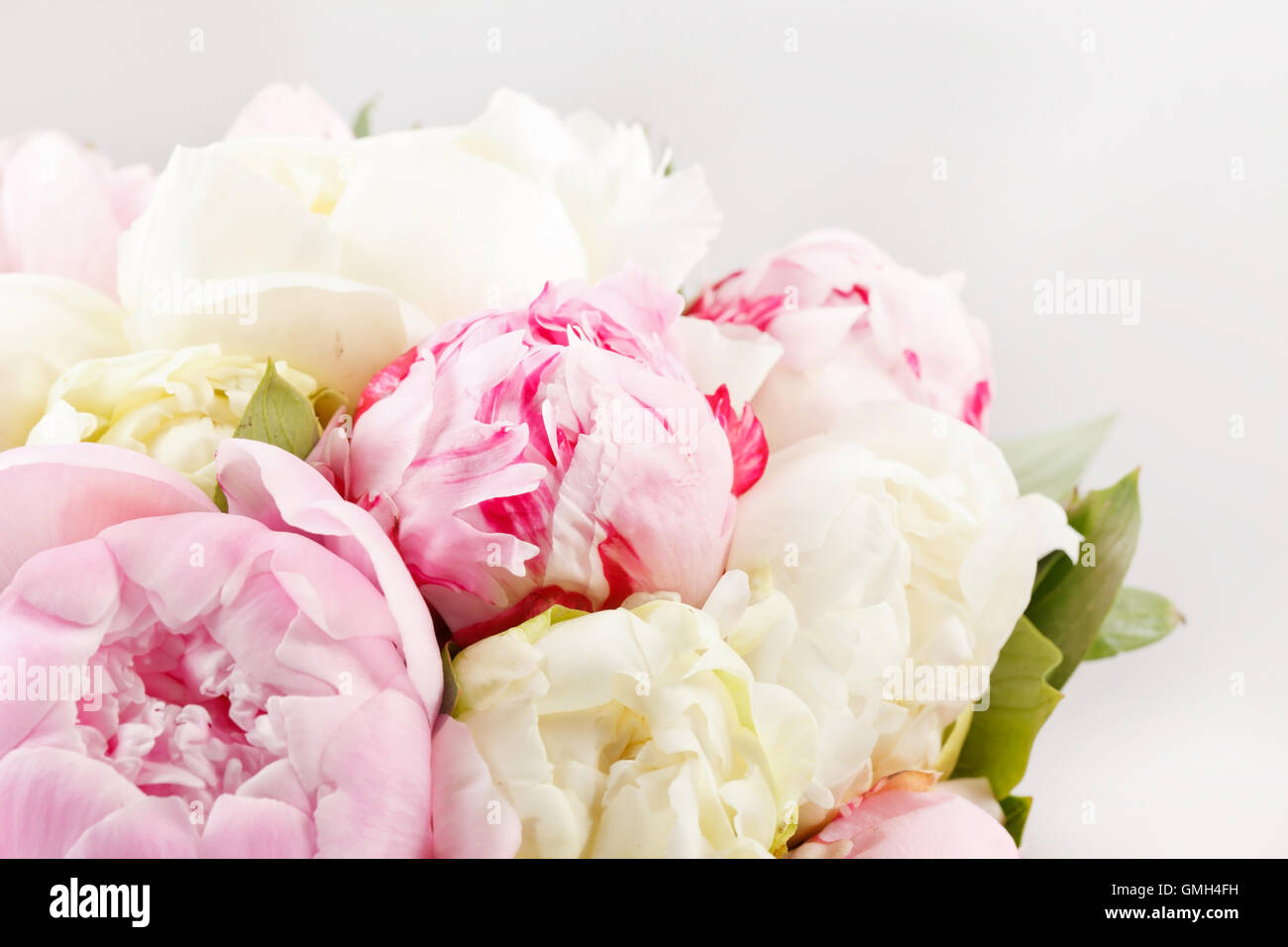 Ricco mazzetto di peonie Foto Stock