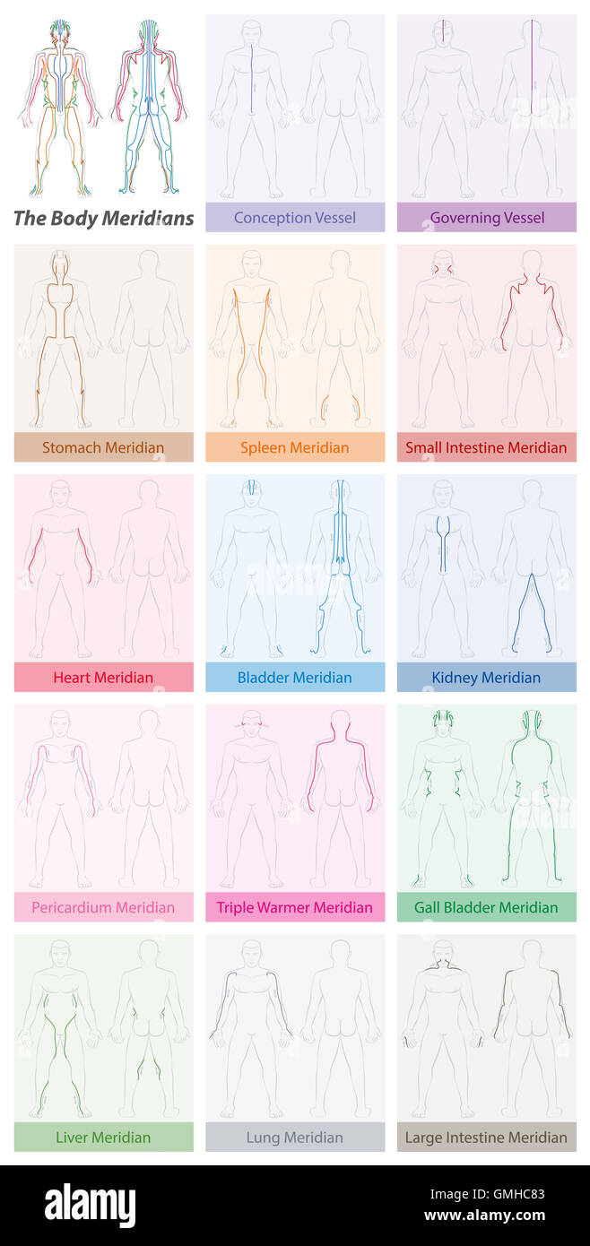 Meridiani del corpo TCM - set con nomi e colori diversi. Foto Stock