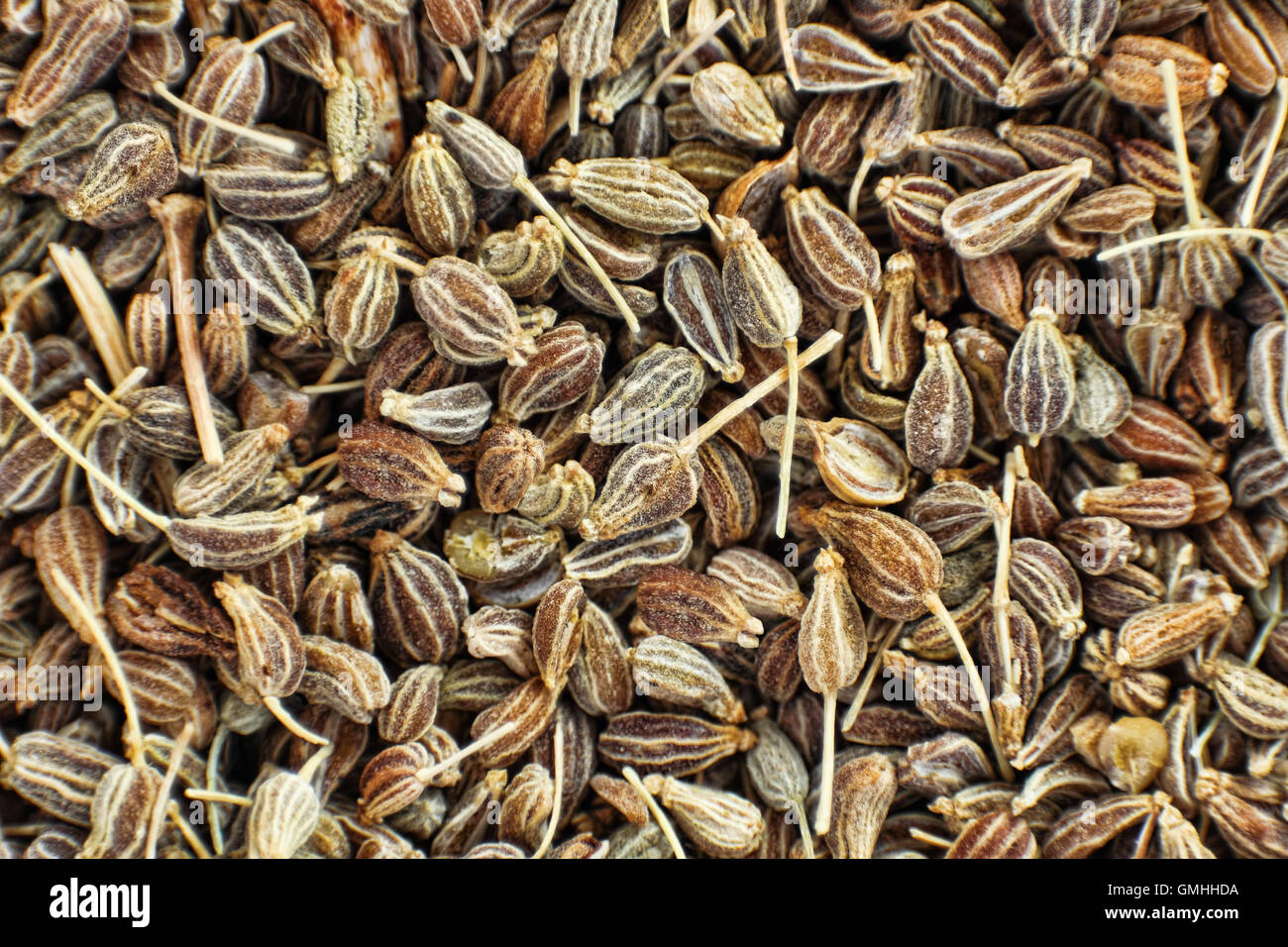 Asciugato i semi di anice prese closeup adatto come sfondo di cibo. Foto Stock
