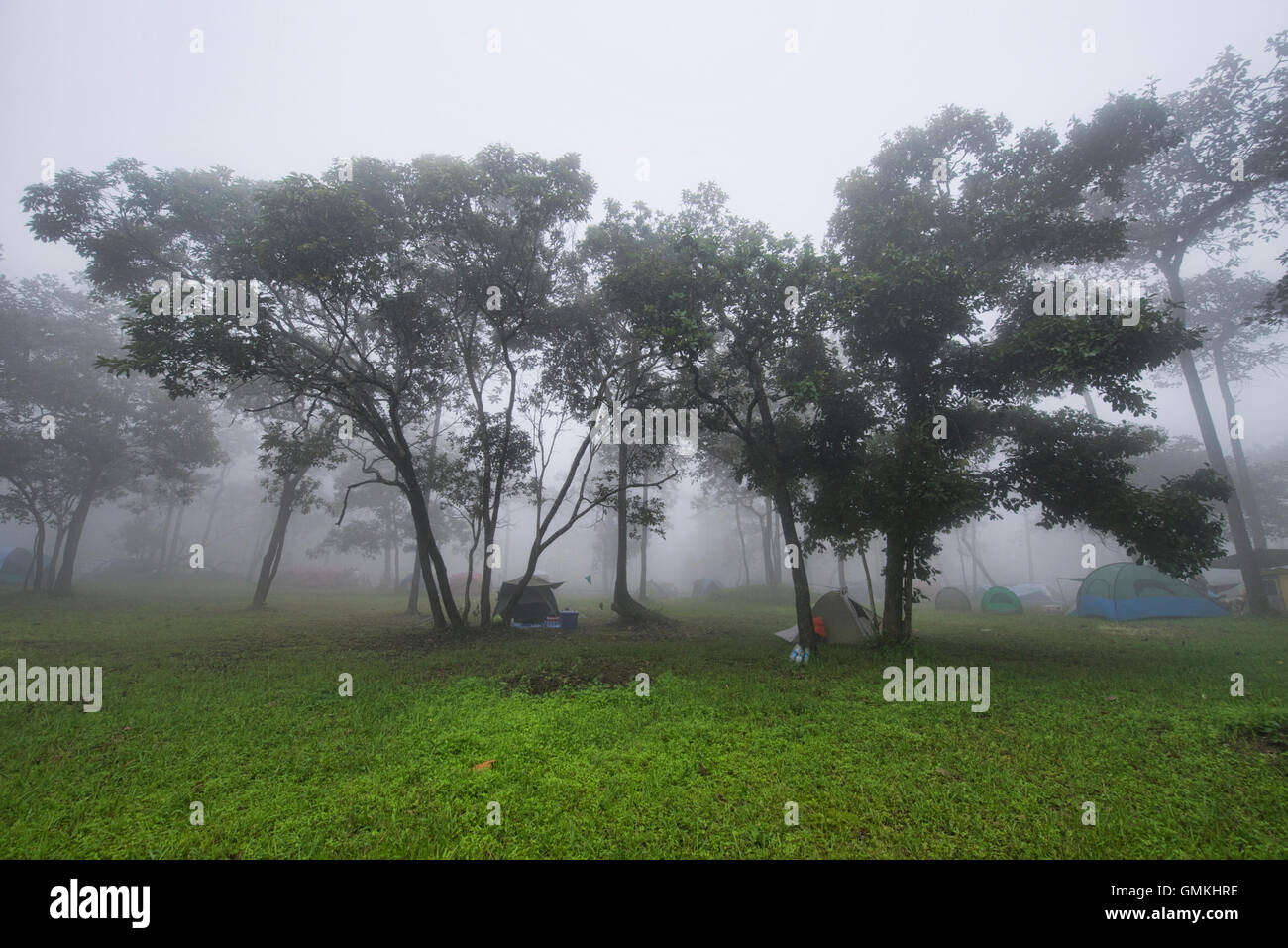 Campeggio nella nebbia, Sai Thong National Park, Chaiyaphum, Thailandia Foto Stock