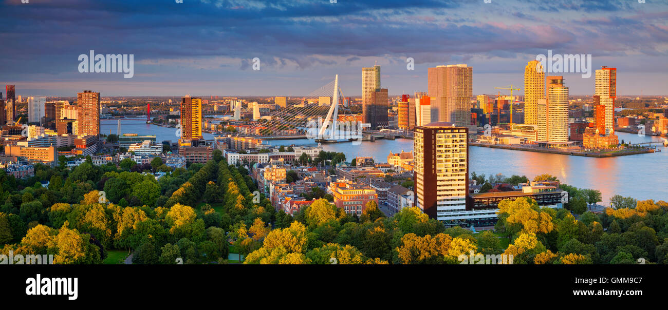 Panorama di Rotterdam. immagine panoramica di rotterdam, Paesi Bassi durante il periodo estivo il tramonto. Foto Stock