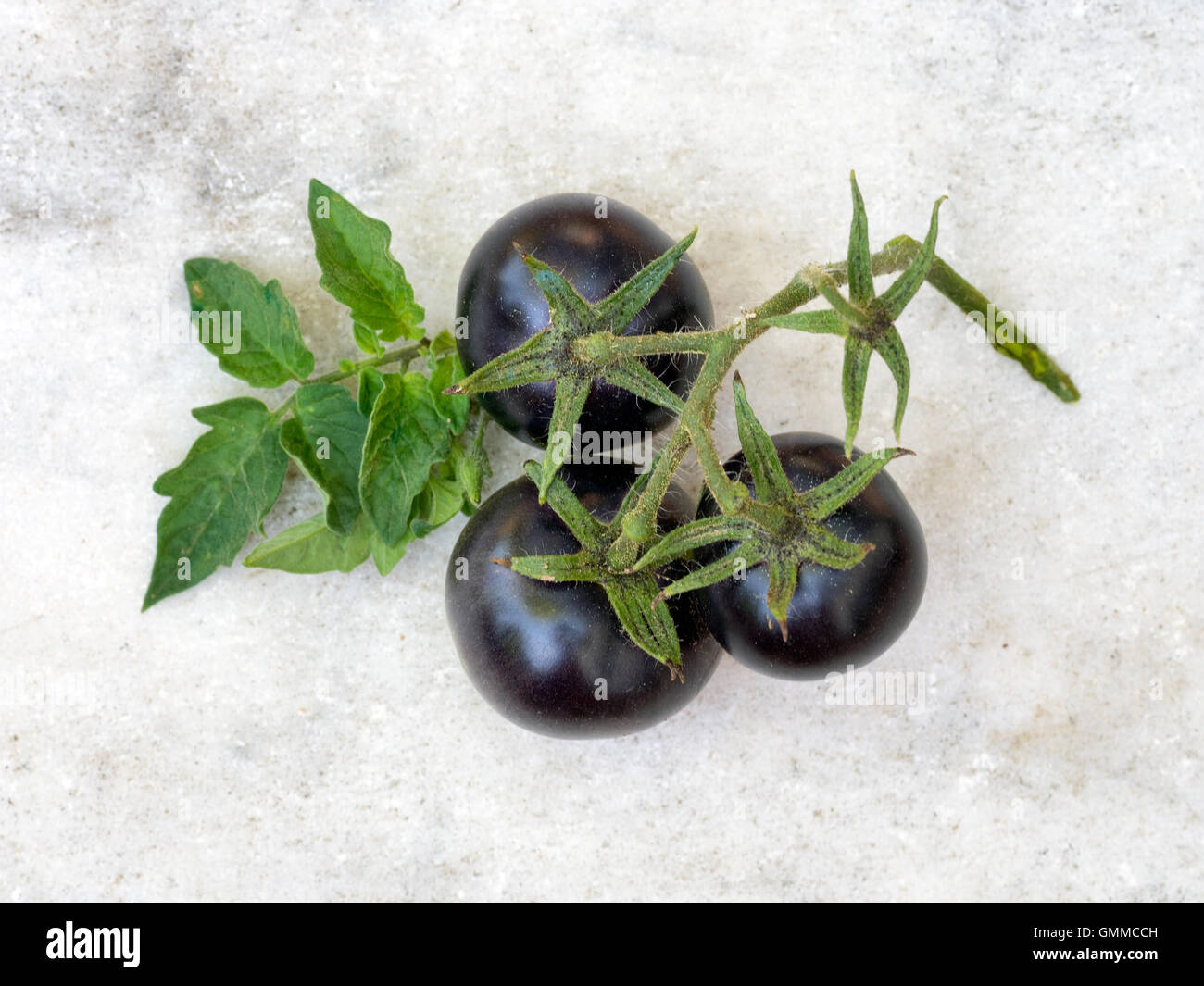 Nero, blu heritage cherry varietà di pomodoro Foto Stock