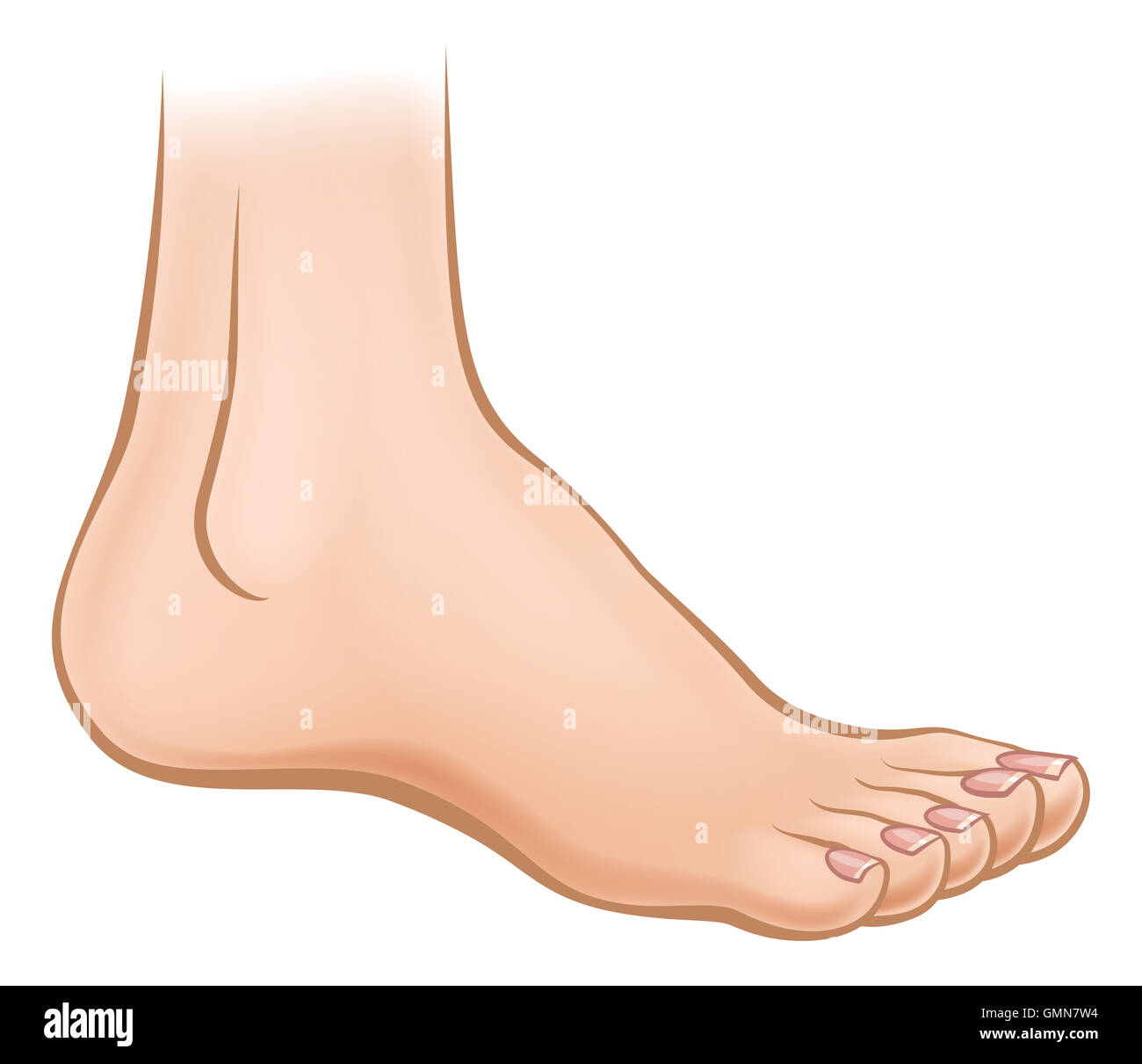 Una illustrazione di un cartoon piede umano Foto Stock