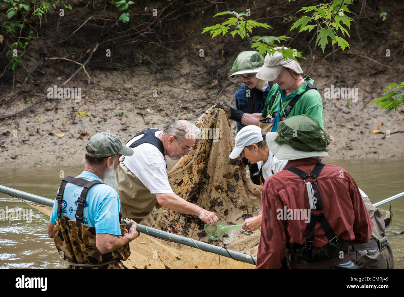 Wayne, Michigan - Volontari con gli amici del Rouge utilizzare un seine net di condurre un sondaggio di pesce sulla parte inferiore Rouge River. Foto Stock