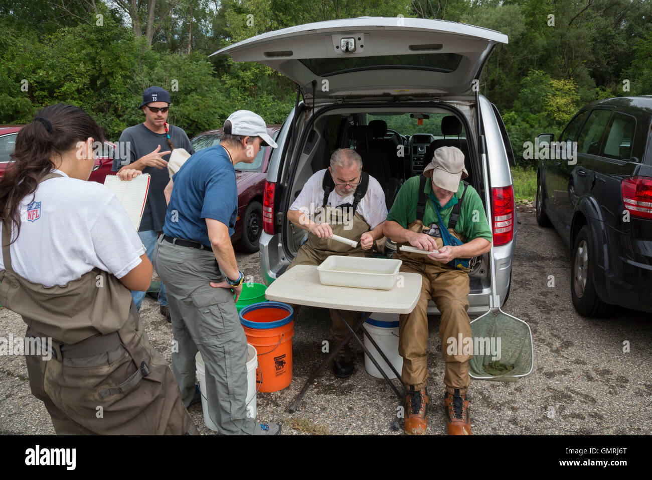 Wayne, Michigan - volontari di identificare e misurare i pesci catturati nel corso di un sondaggio di pesce sulla parte inferiore Rouge River. Foto Stock