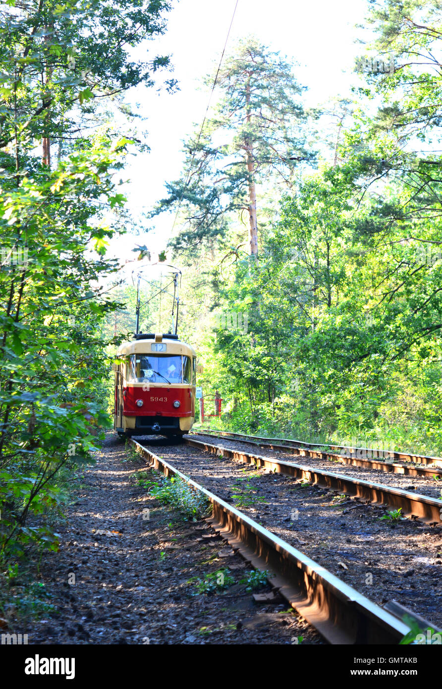Retrò tram rosso corse in auto sulla stessa stazione i boschi. Foto Stock