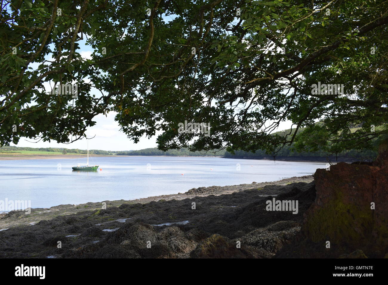 Barca Pembrokeshire Coast UK Port Lion West Wales Foto Stock