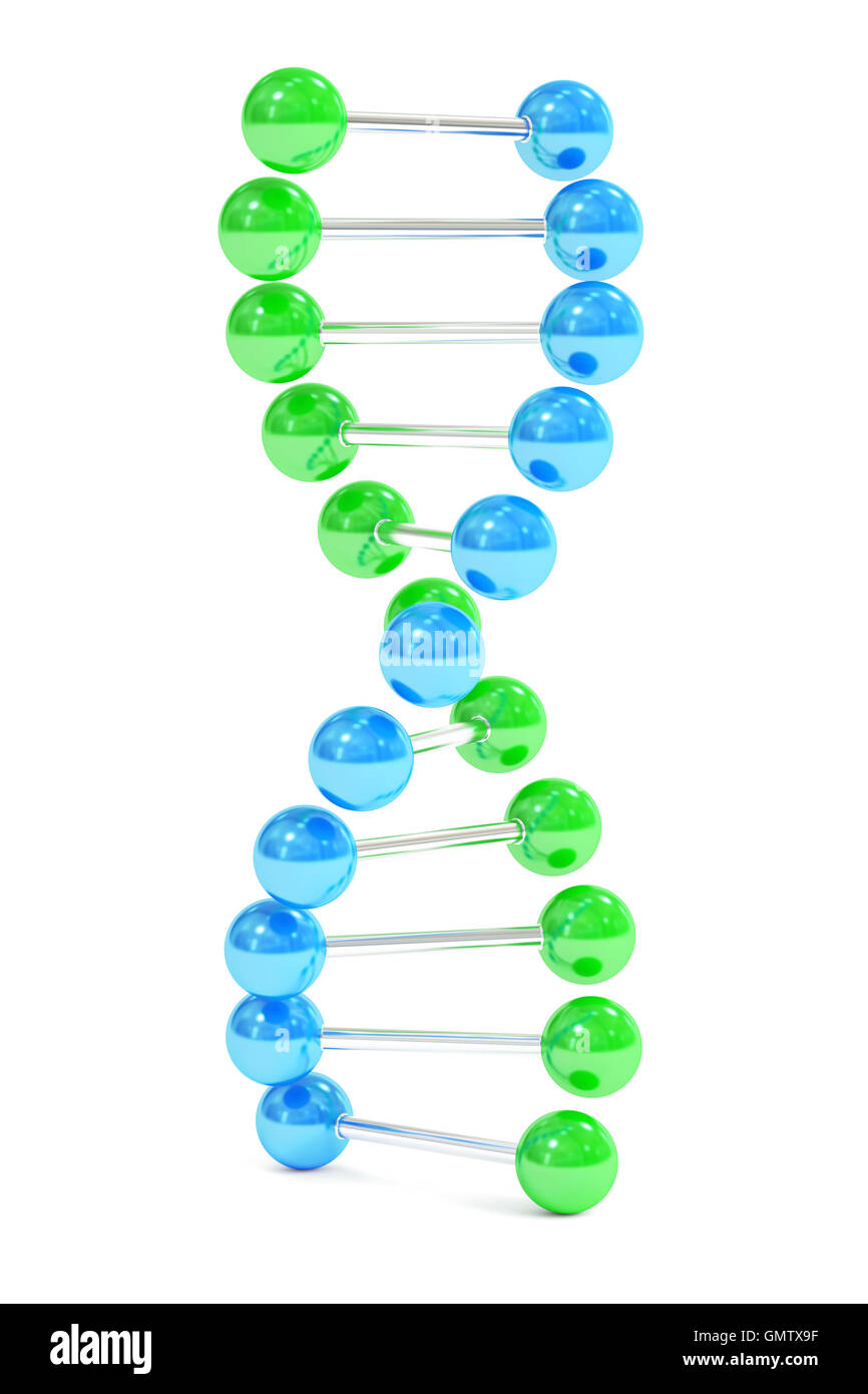 DNA, 3D rendering isolati su sfondo bianco Foto Stock