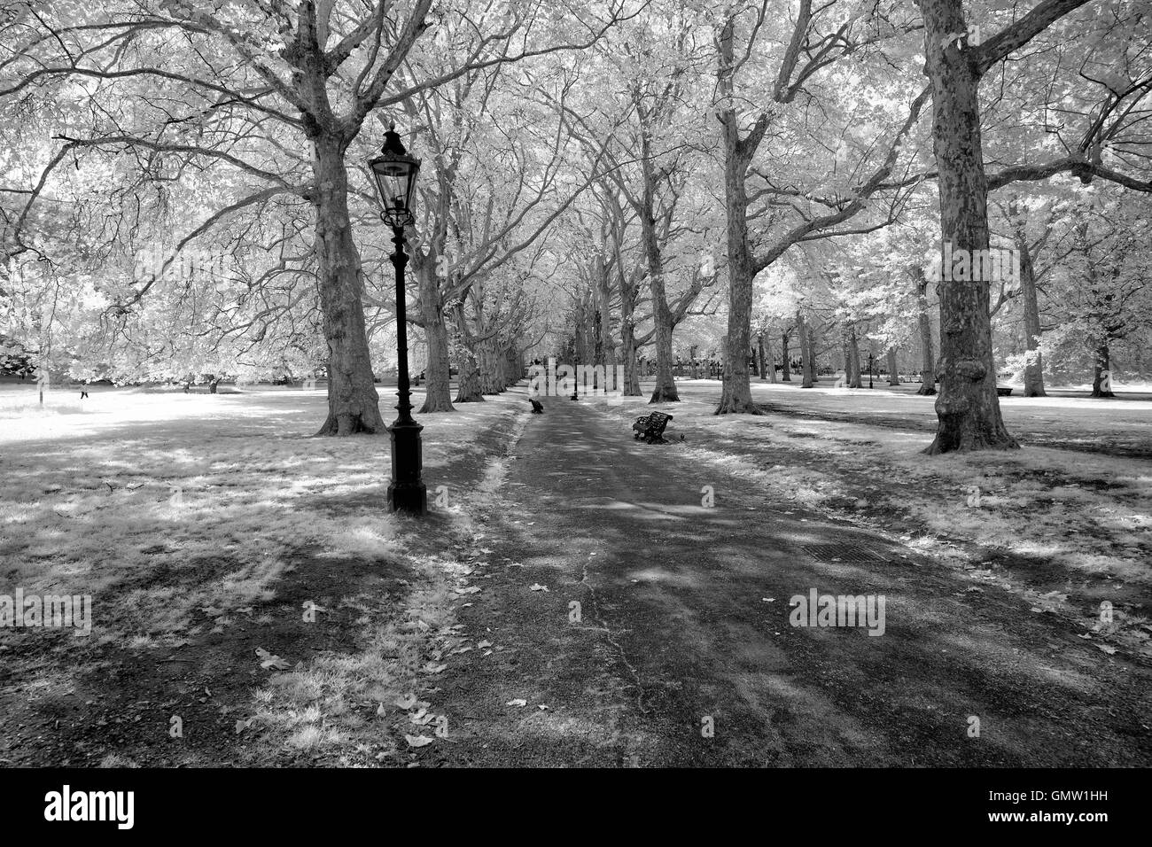 Green Park, Londra, percorso e lampade Foto Stock