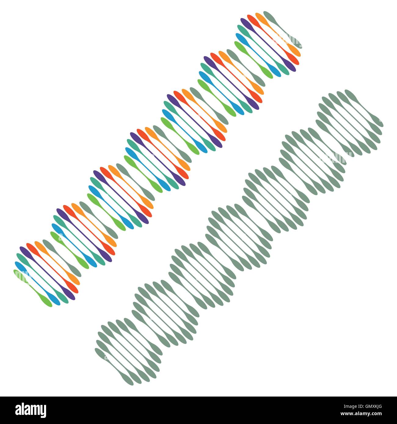 DNA geneticamente Illustrazione Vettoriale