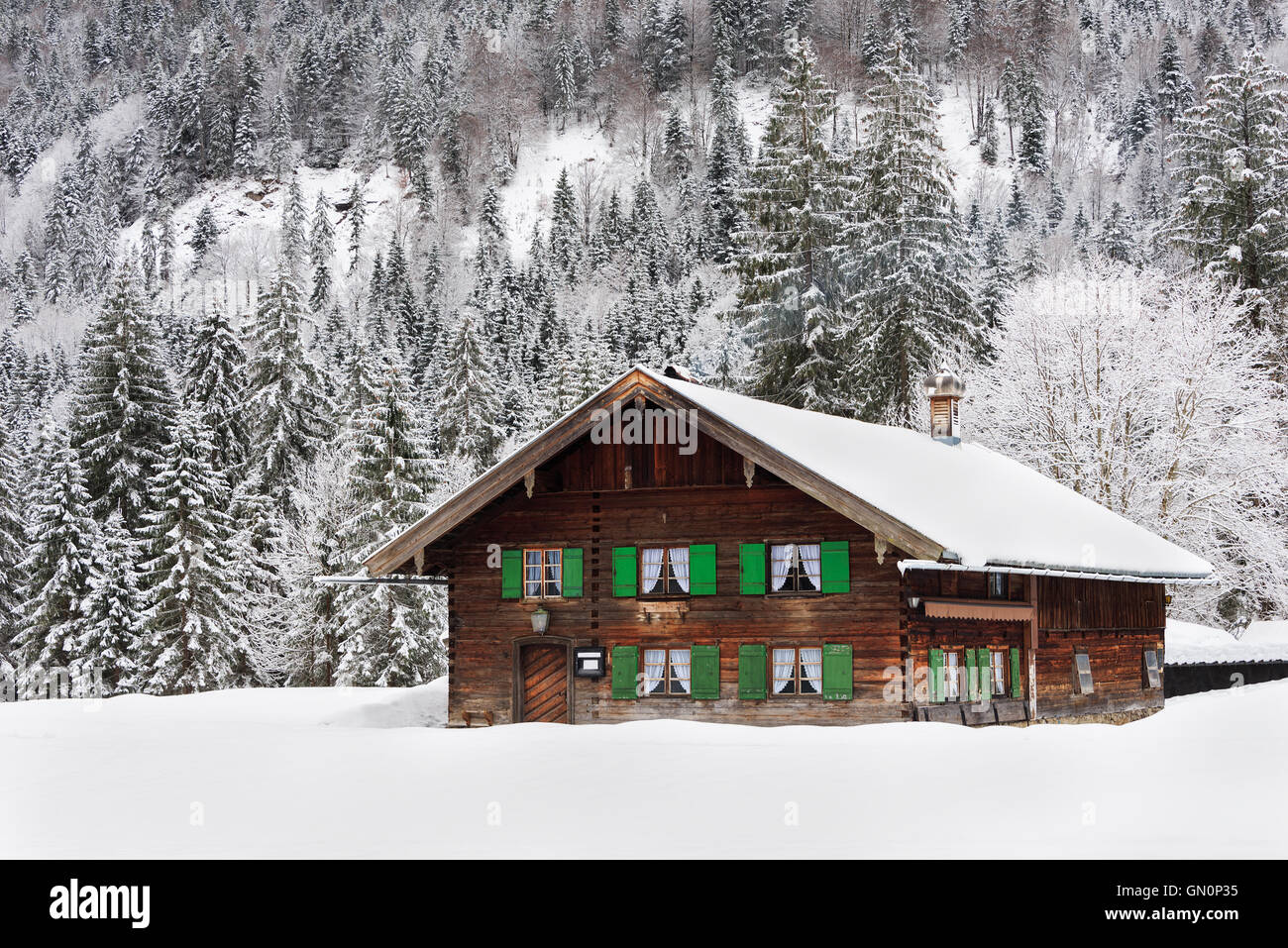 Tradizionale in legno in stile bavarese log cabin house con persiane verdi in una foresta di neve in inverno in Baviera in Germania. Foto Stock