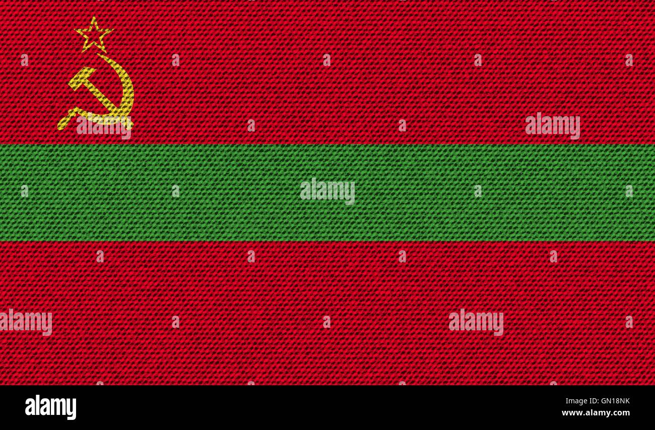 Bandiere Transnistria sulla consistenza del denim. Vettore Illustrazione Vettoriale