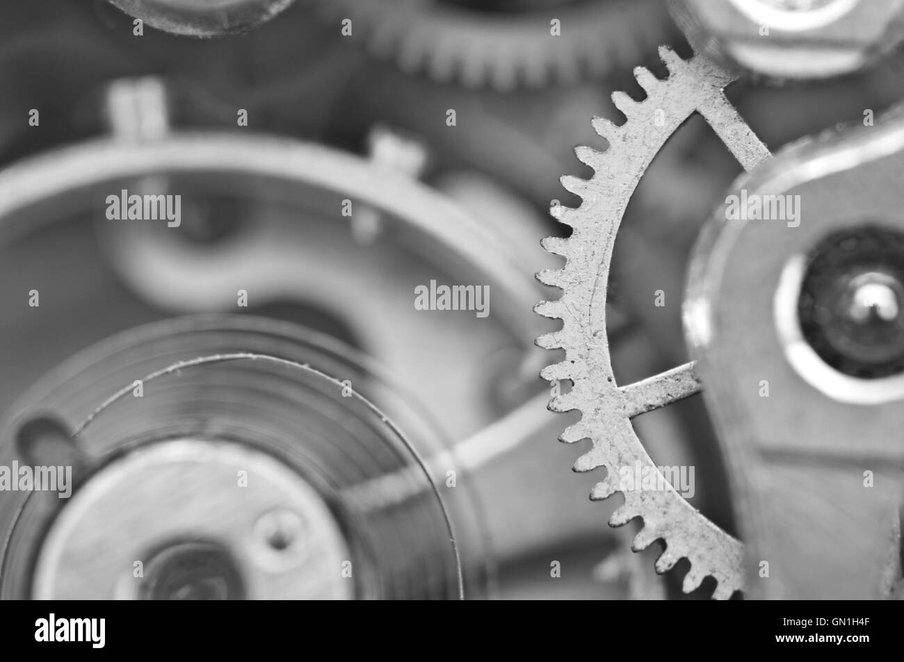 Macro, nero lo sfondo bianco con ruote dentate metalliche un meccanismo a orologeria. Foto concettuale per il vostro business di successo di progettazione Foto Stock