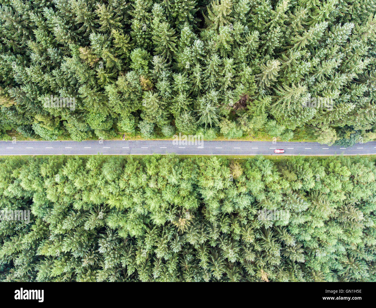 Andando su strada attraverso la foresta Paesaggio, Vista Aerea Foto Stock