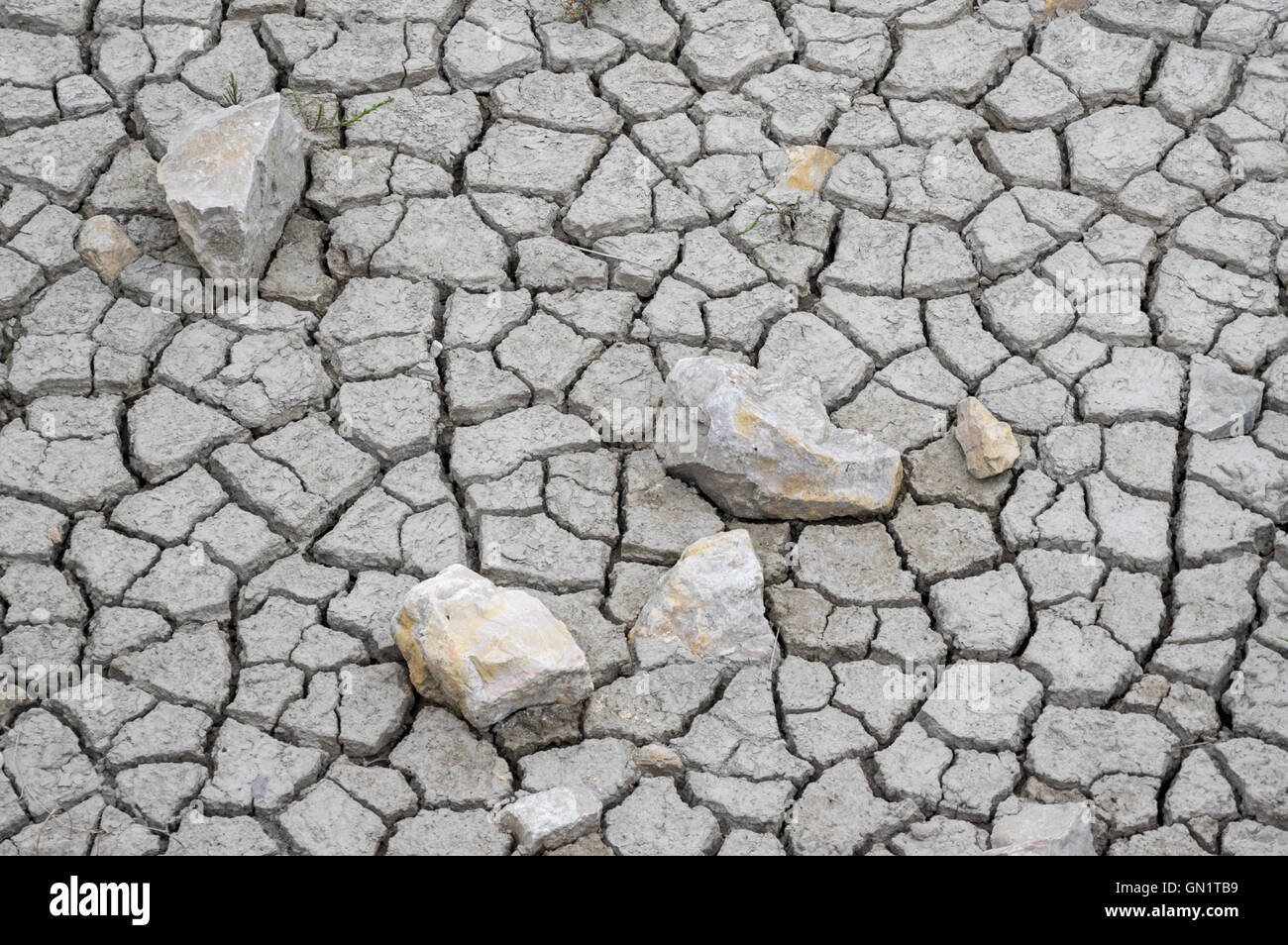 Fango incrinato con rocce in uno stagno, Camargue, Francia Foto Stock