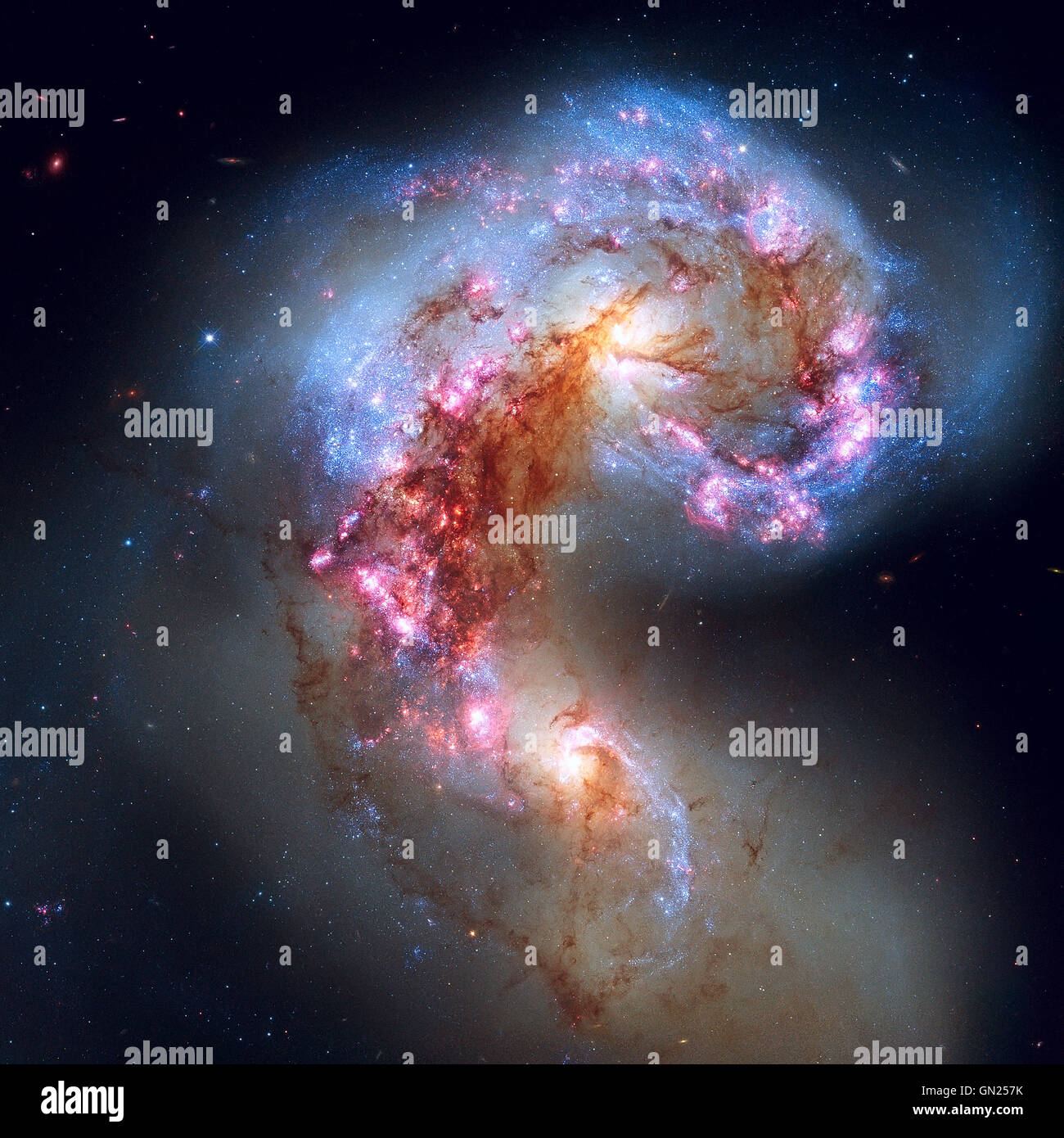 Le antenne galassie o NGC 4038 o NGC 4039 stanno subendo una collisione galattica. Si trova nella costellazione Corvus. Foto Stock