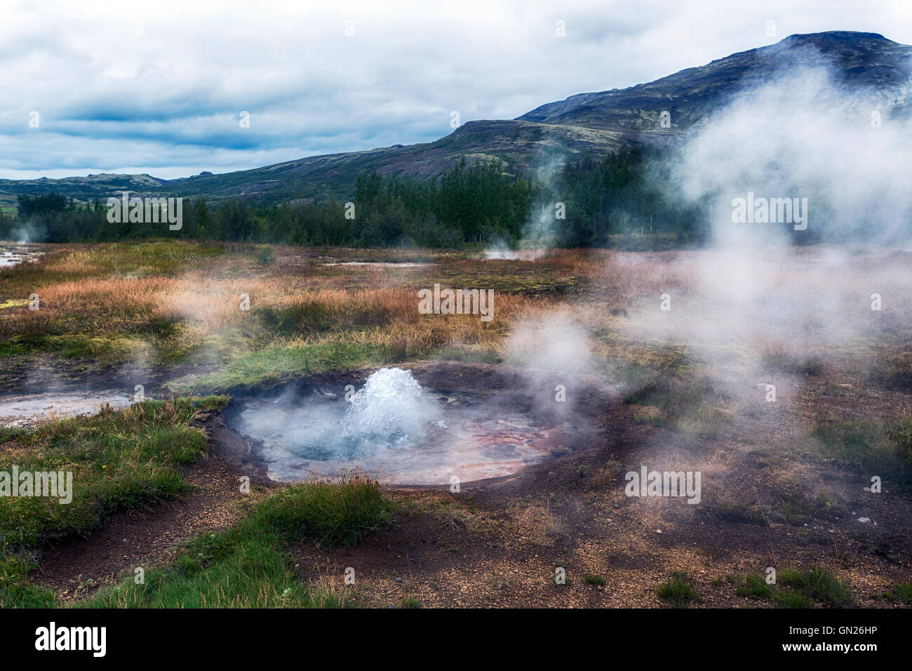 Litli Geysir, area geotermica, Haukadalur, Golden Circle, Geysir, Reykjavik, Islanda Foto Stock