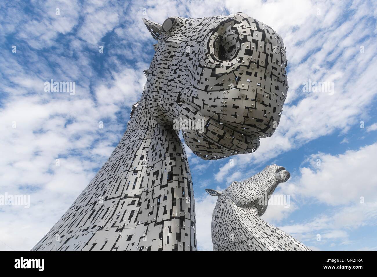 Edinburgh, Regno Unito. Il 27 agosto, 2016. Il Kelpies progettato da Andy Scott a Falkirk su una giornata d'estate. Credito: Richard Dyson/Alamy Live News Foto Stock