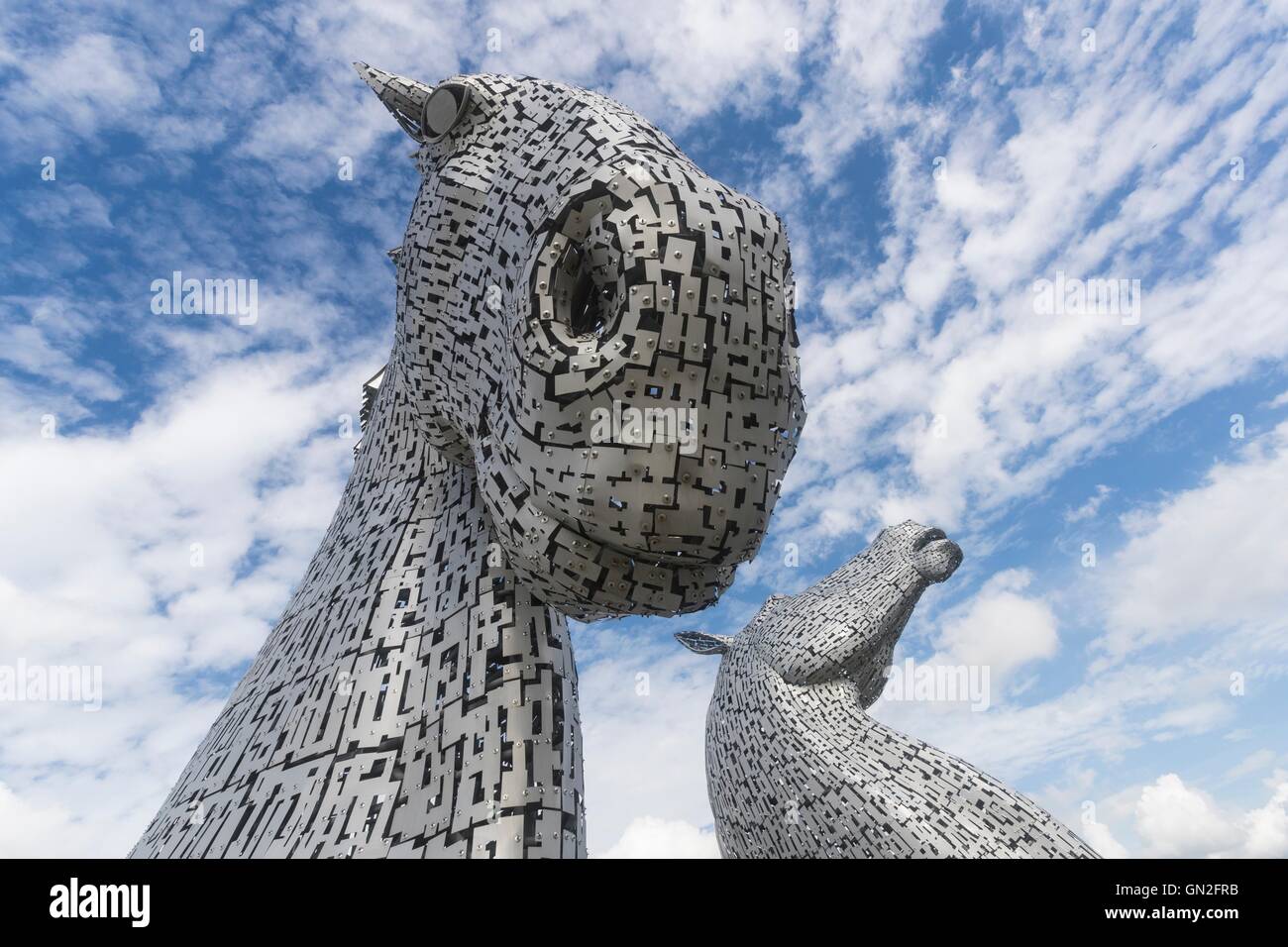 Edinburgh, Regno Unito. Il 27 agosto, 2016. Il Kelpies progettato da Andy Scott a Falkirk su una giornata d'estate. Credito: Richard Dyson/Alamy Live News Foto Stock
