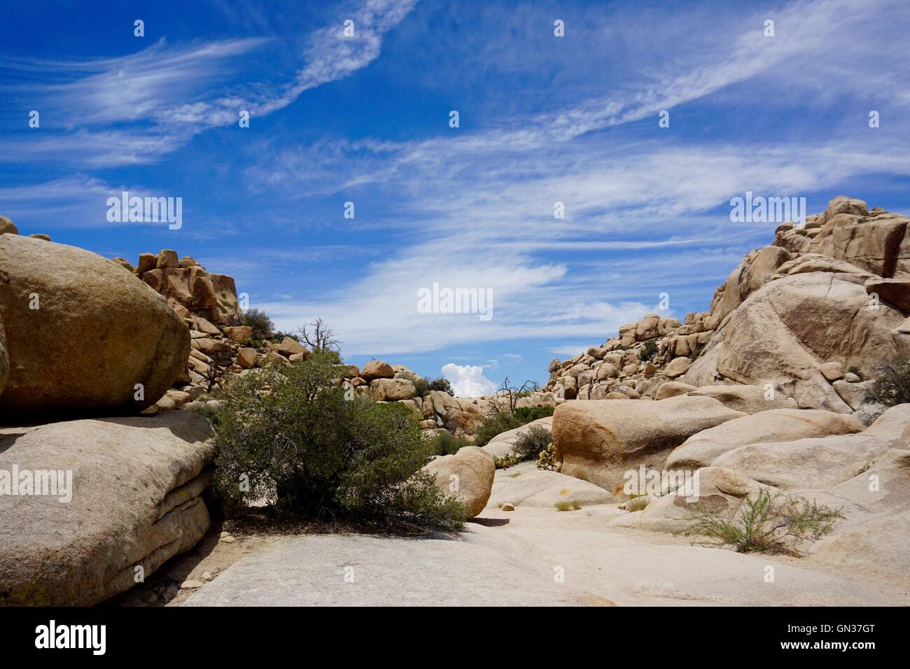 Il paesaggio del deserto a Joshua Tree National Park, California. Foto Stock