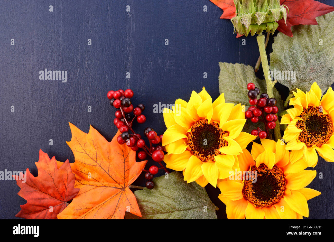 Brillanti colori d'Autunno Autunno ringraziamento Halloween sfondo decorata con bordi di girasoli e cadono le foglie e blu scuro Foto Stock