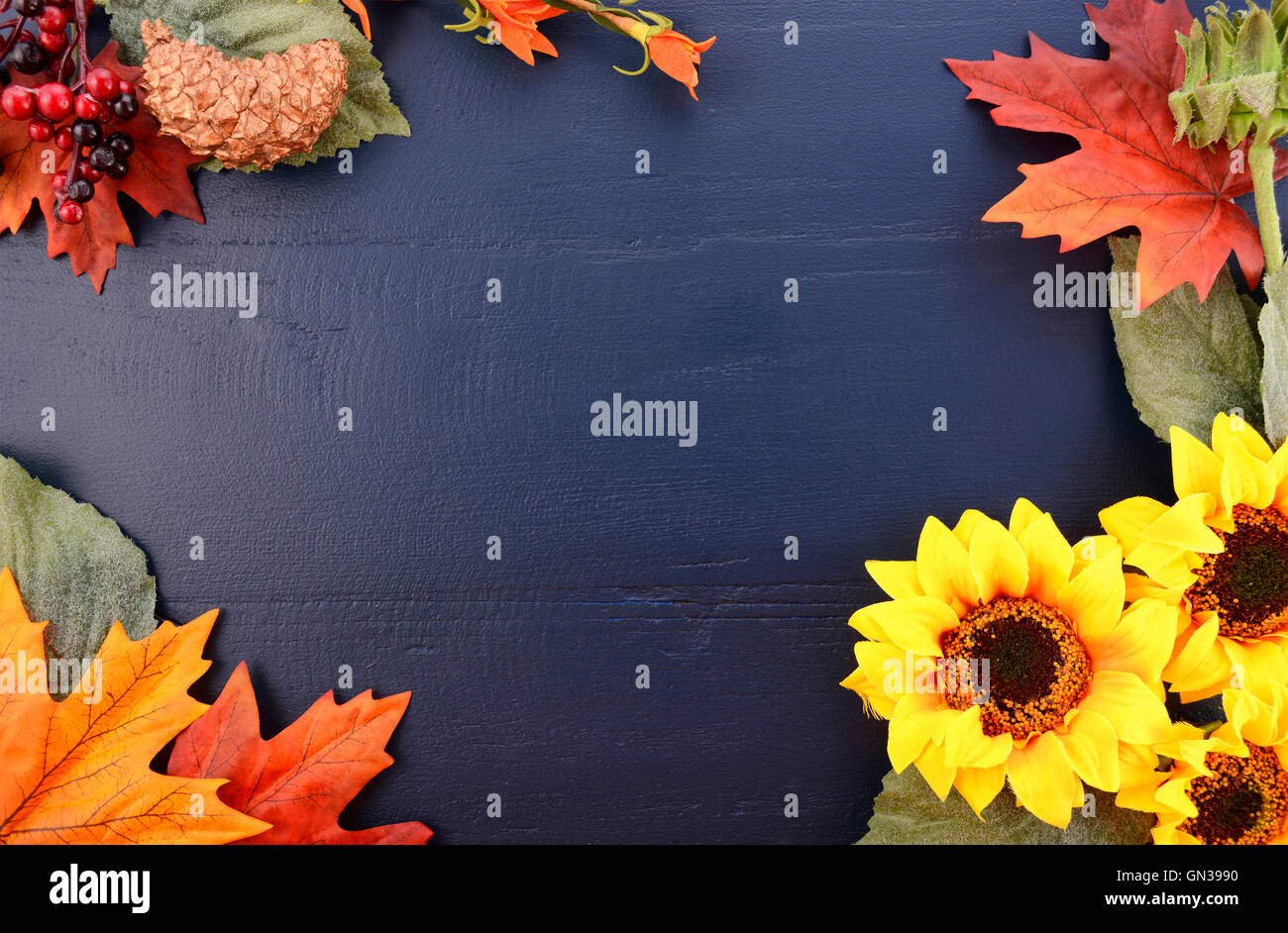 Brillanti colori d'Autunno Autunno ringraziamento Halloween sfondo decorata con bordi di girasoli e cadono le foglie e blu scuro Foto Stock