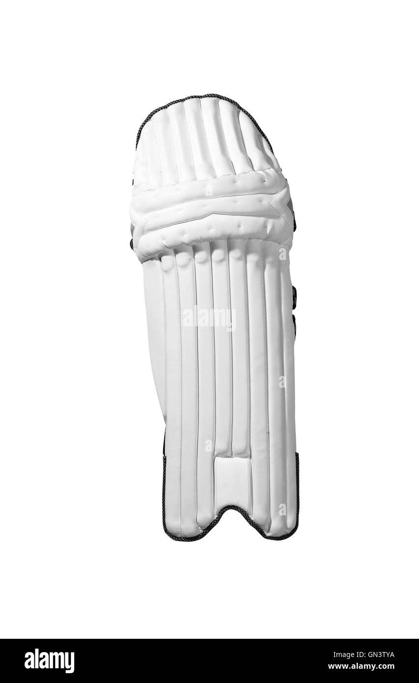 Professional hockey protettivo Foto Stock