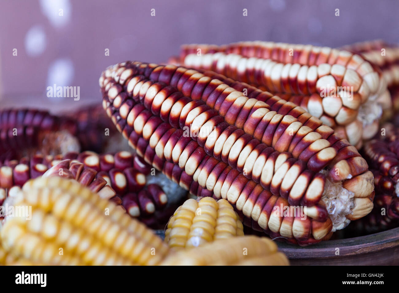 In prossimità di una tabella con prodotti naturali utilizzati per tingere i capi di abbigliamento della tradizionale Peruviano di stili e colori Foto Stock