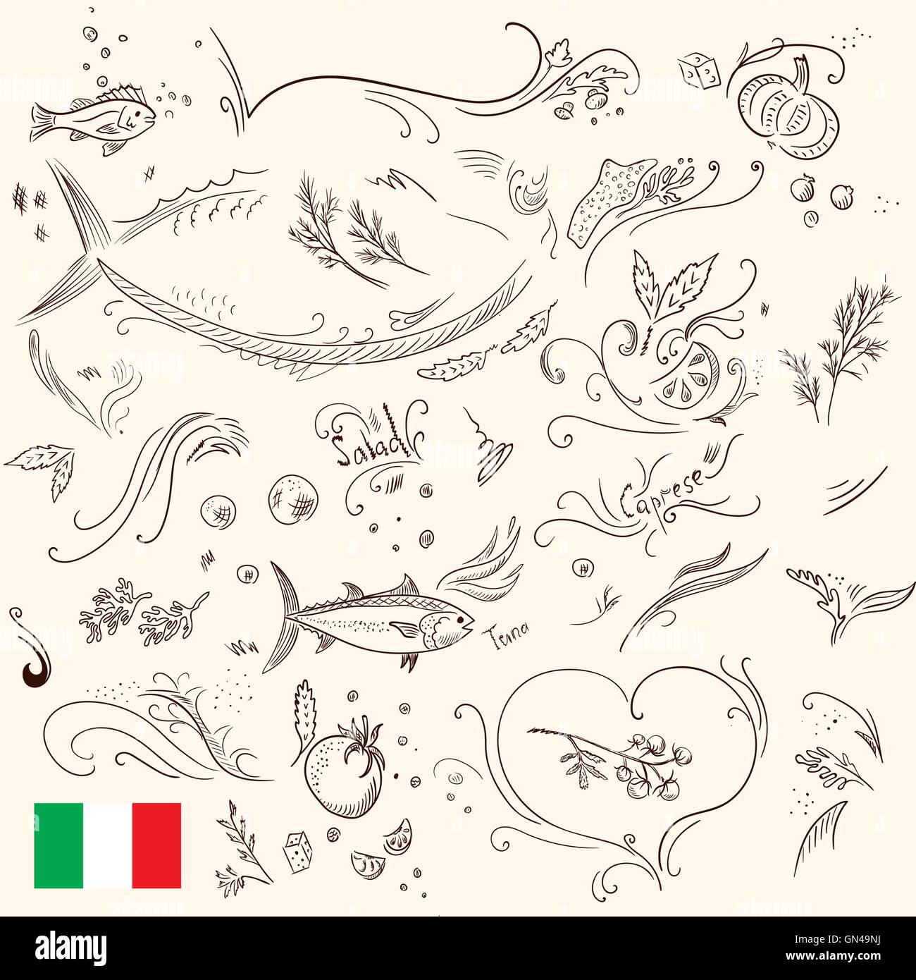 Cibo sano e schizzi per menu design Illustrazione Vettoriale