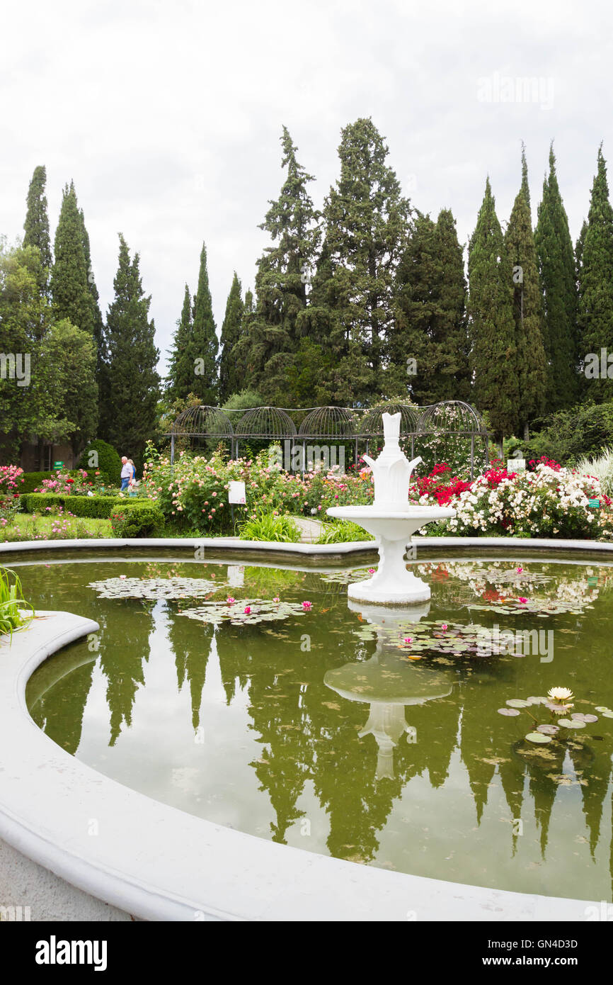 Piscina con ninfee nel Nikitsky giardino botanico Foto Stock