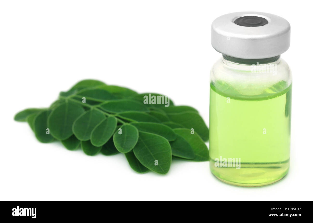 Foglie di moringa con estratto in un flaconcino su sfondo bianco Foto Stock