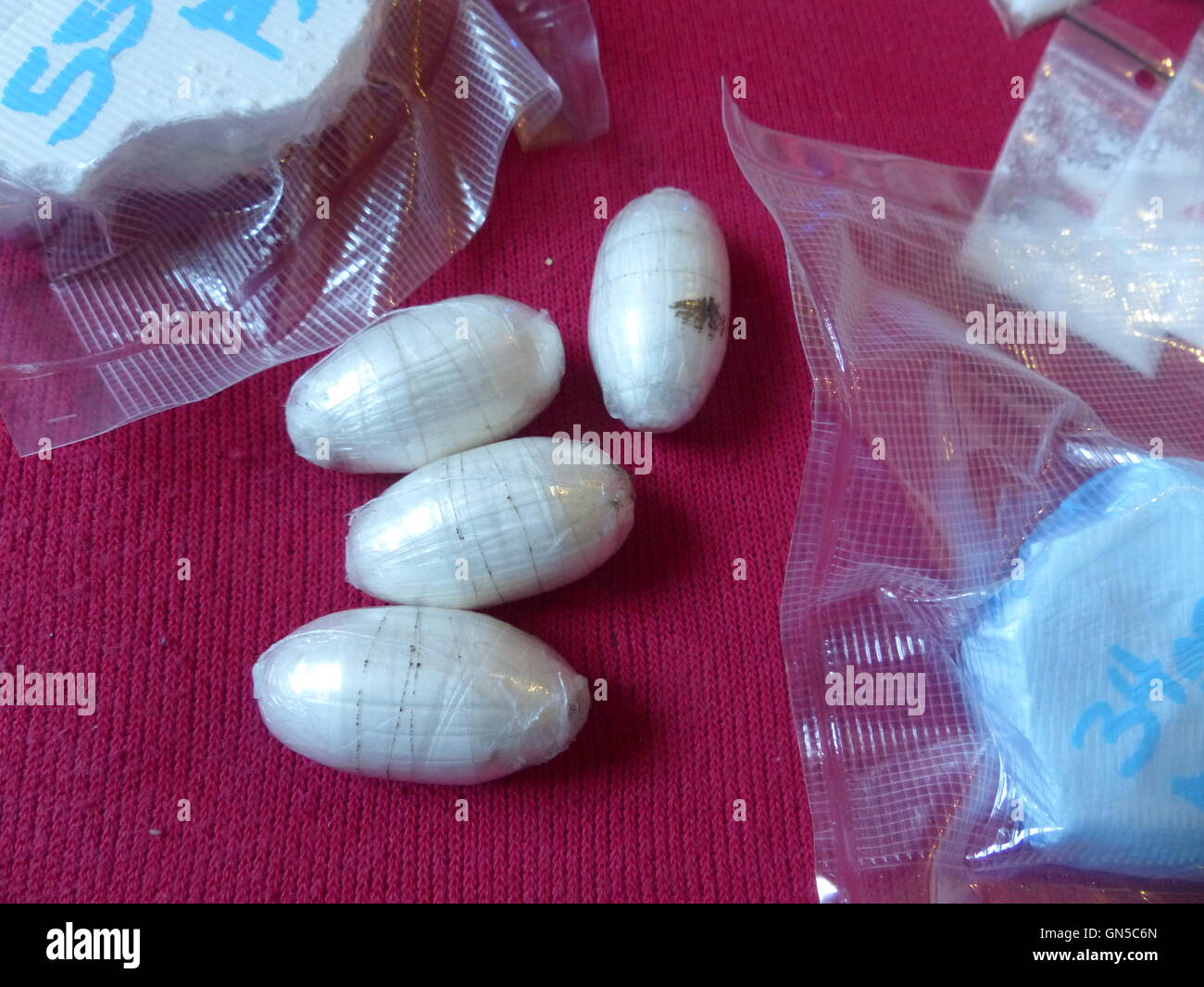 Uovo di cocaina che è stata inghiottita dal contrabbandiere o mulo e recuperata in seguito a destinazione nel suo sgabello Foto Stock