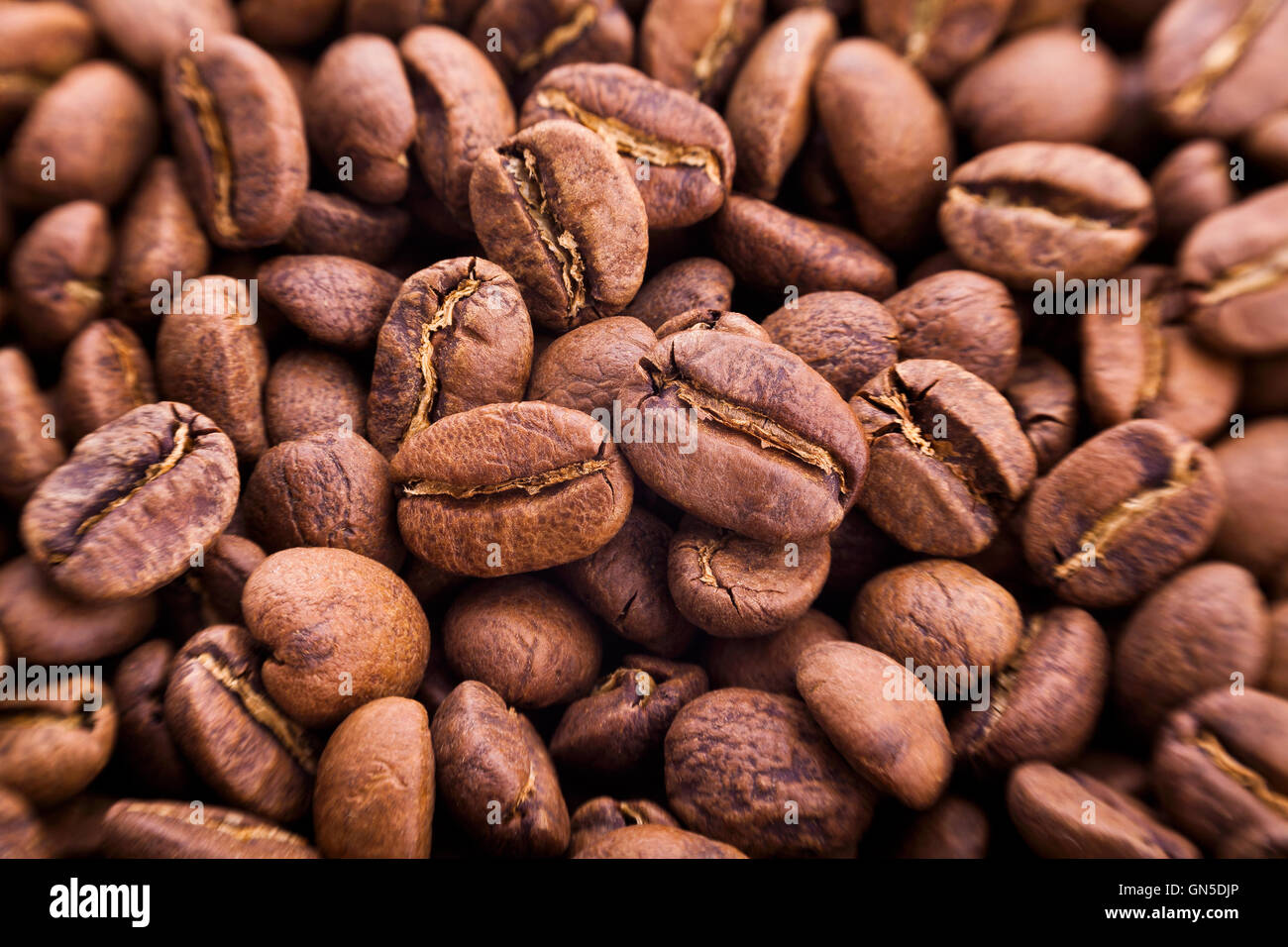I chicchi di caffè closeup Foto Stock