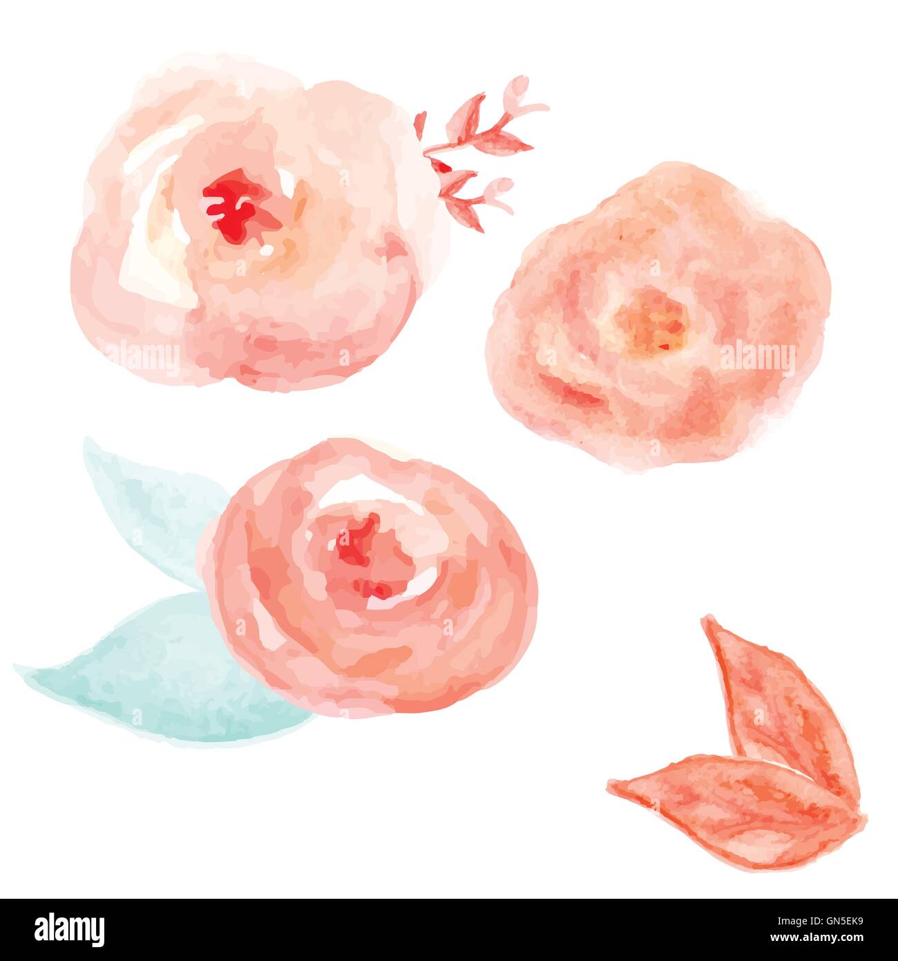 Acquerello vettore di fiori. Round acquerello fiori. Abstract Flo Illustrazione Vettoriale