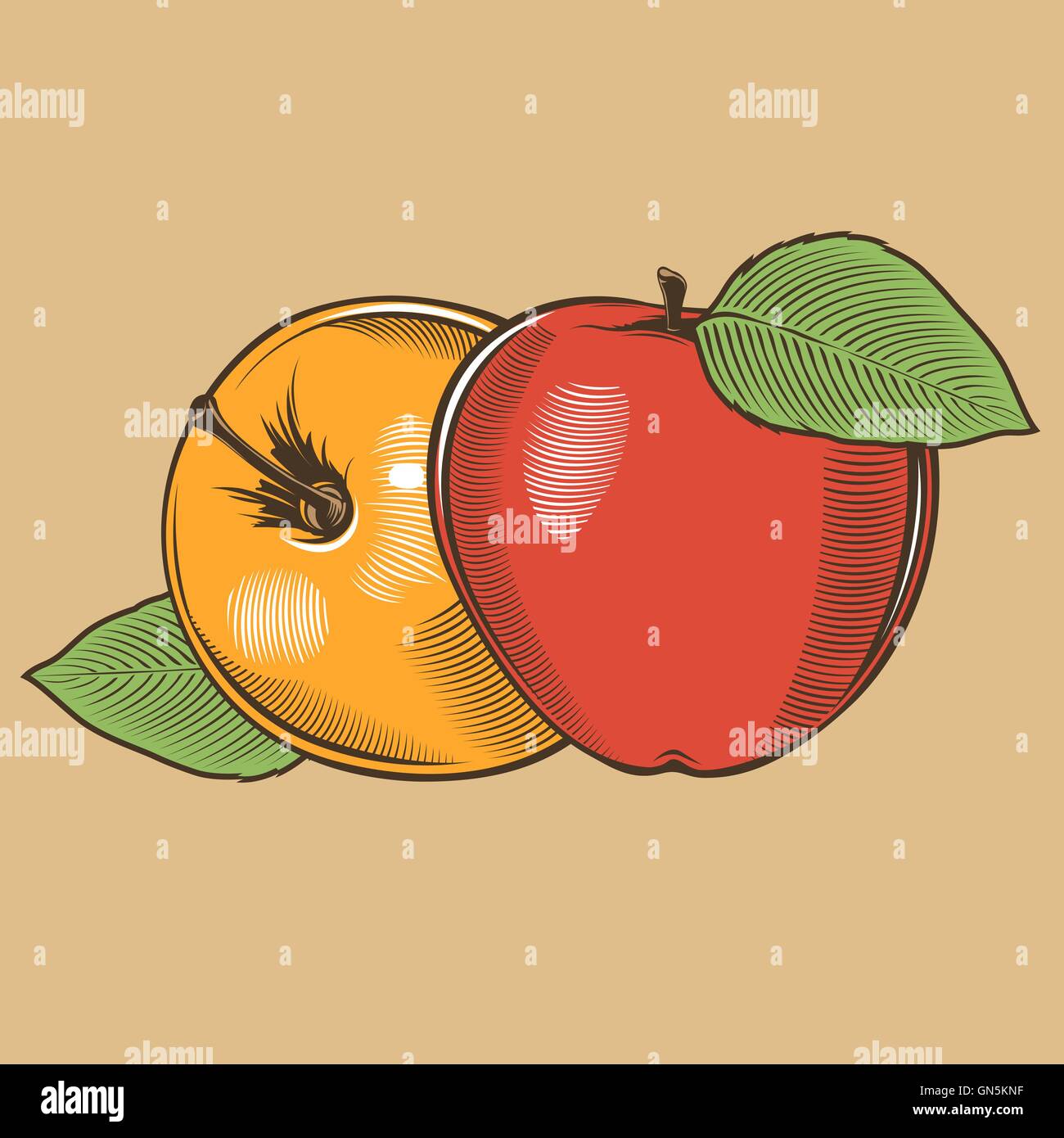 Le mele in stile vintage. Colorata illustrazione vettoriale Illustrazione Vettoriale