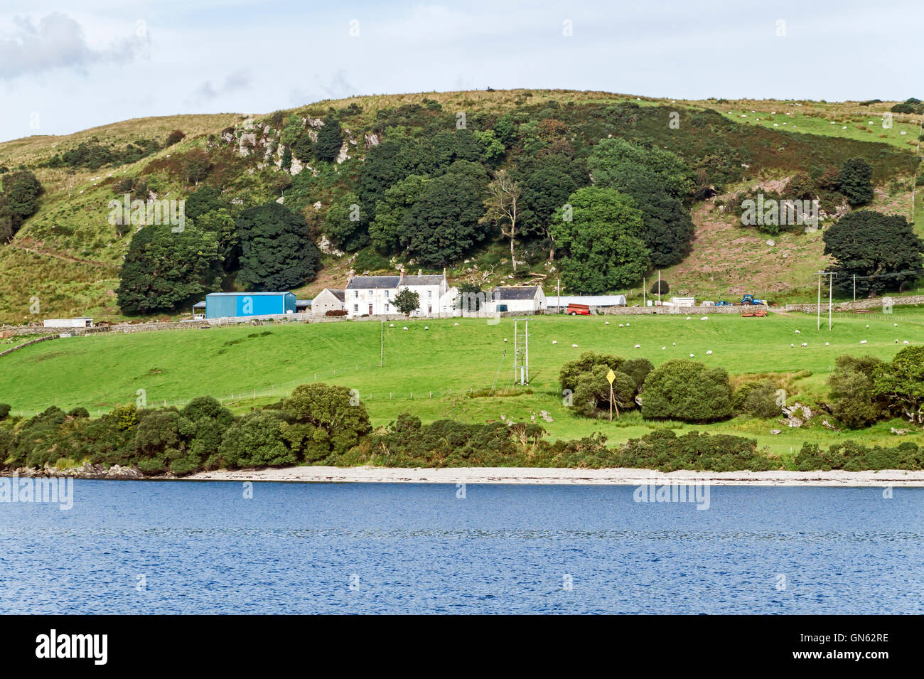 Un hill farm presso la costa nord dell'isola di Bute in Argyll and Bute Scozia Scotland Foto Stock
