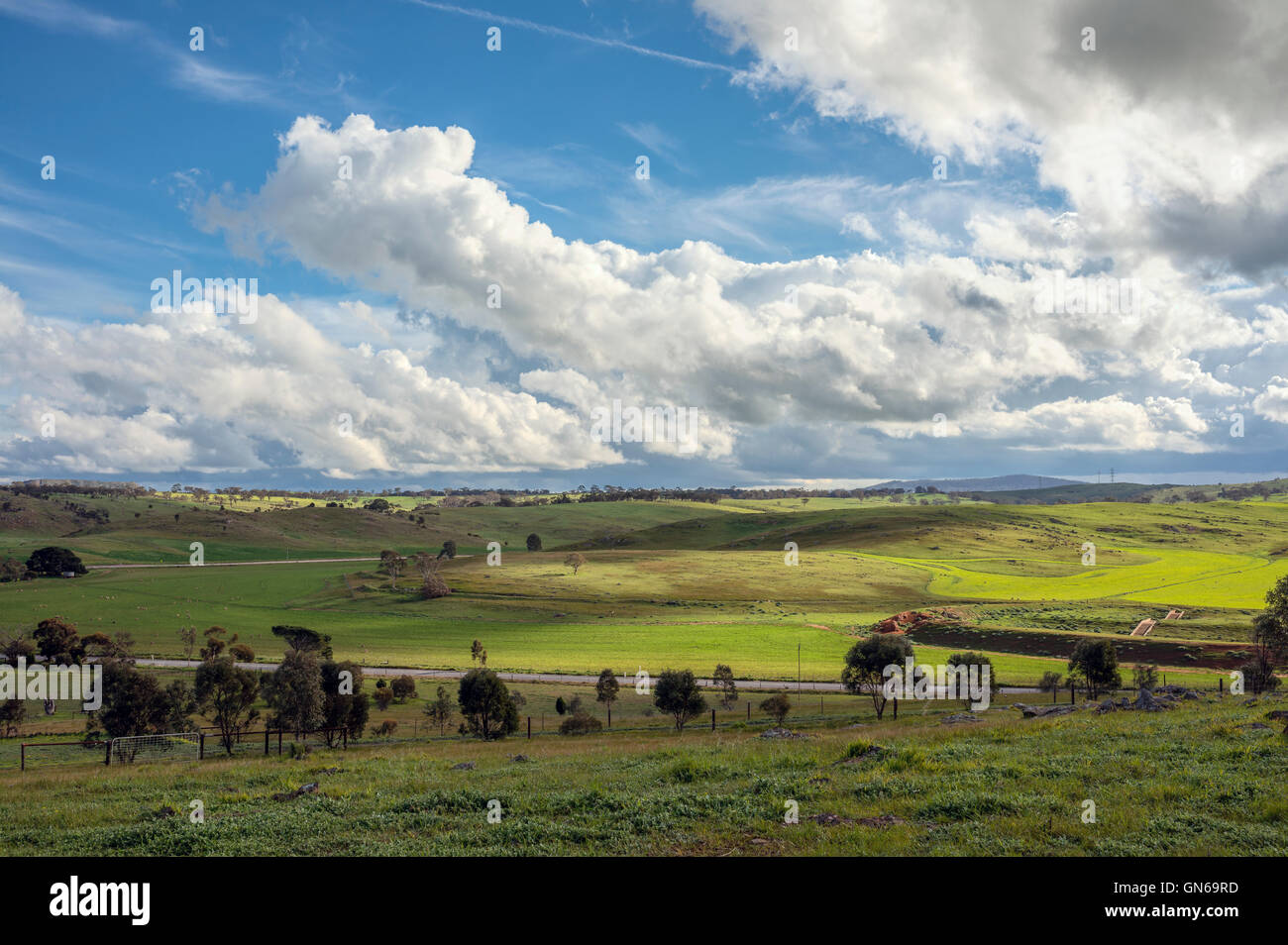 Una lussureggiante valle verde nelle Colline di Adelaide, South Australia, Australia Foto Stock