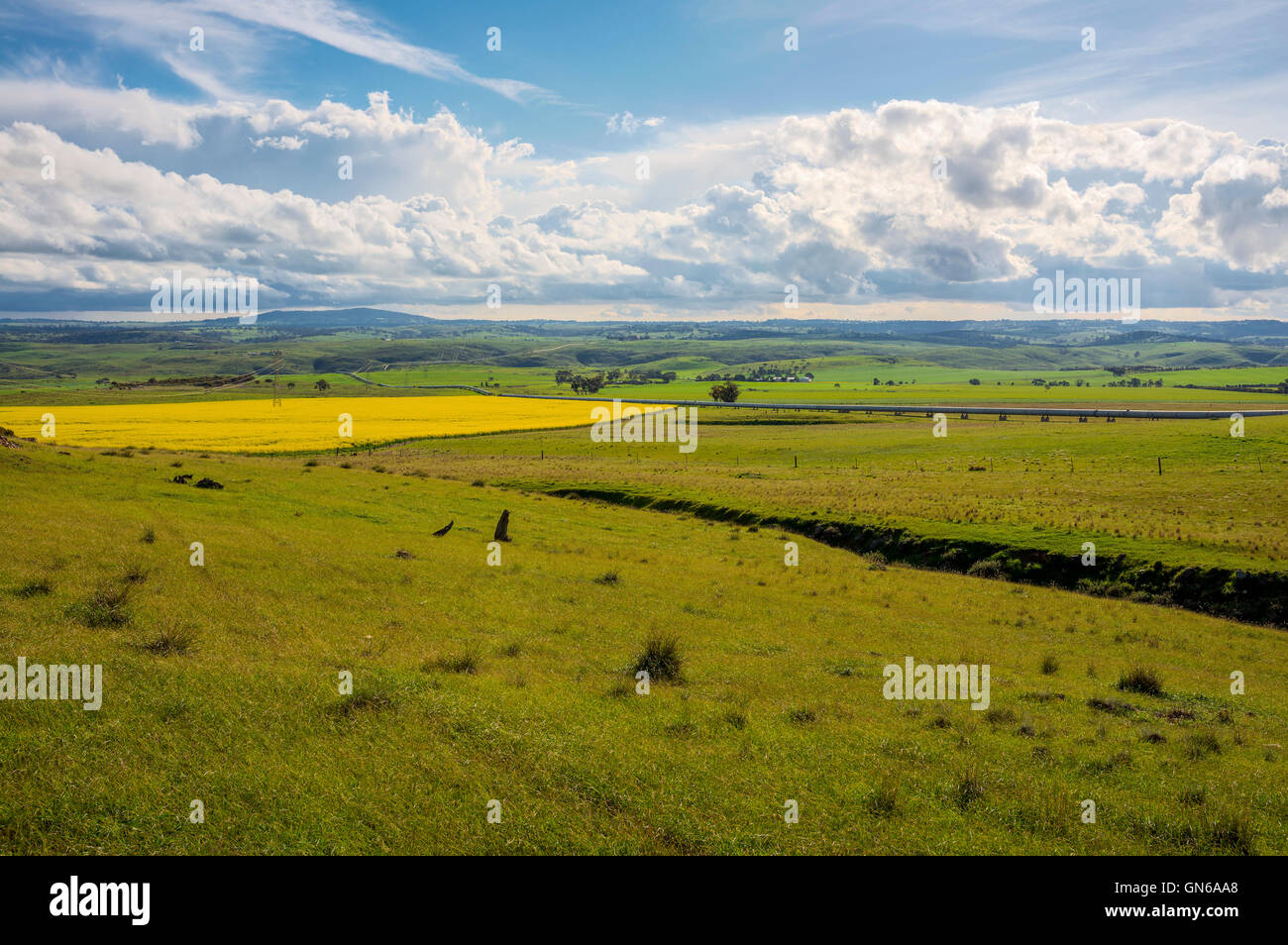 Una lussureggiante valle verde nelle Colline di Adelaide, South Australia, Australia Foto Stock