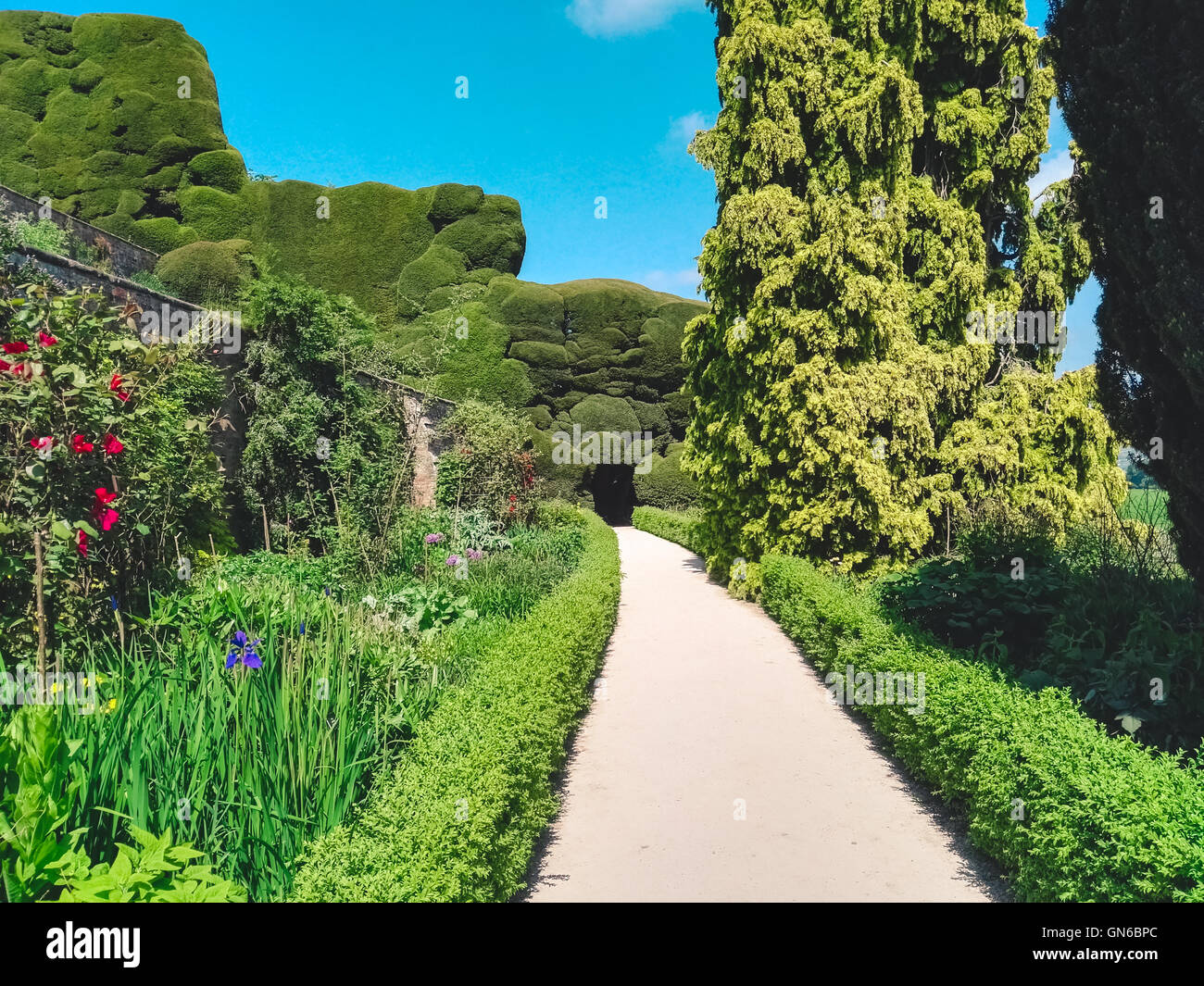 Welsh giardini con fiori e alberi Foto Stock