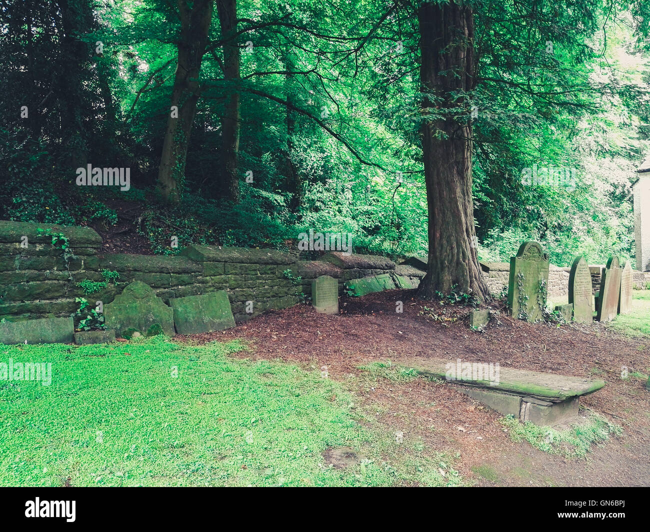 Graves vicino al bosco Foto Stock