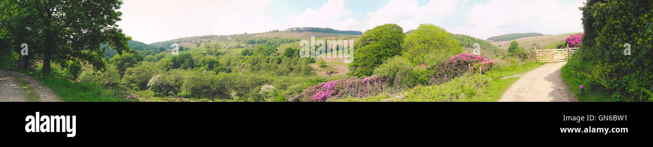 Panorama di Margam Country Park Foto Stock