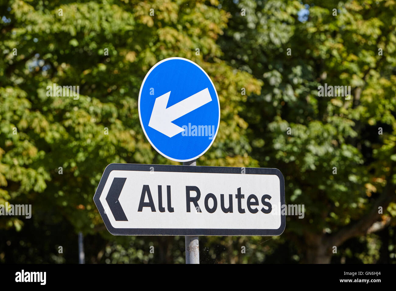 Traffico blu della freccia di direzione con tutti i percorsi segno nel Regno Unito Foto Stock